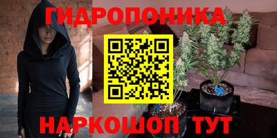 сатива Пенза