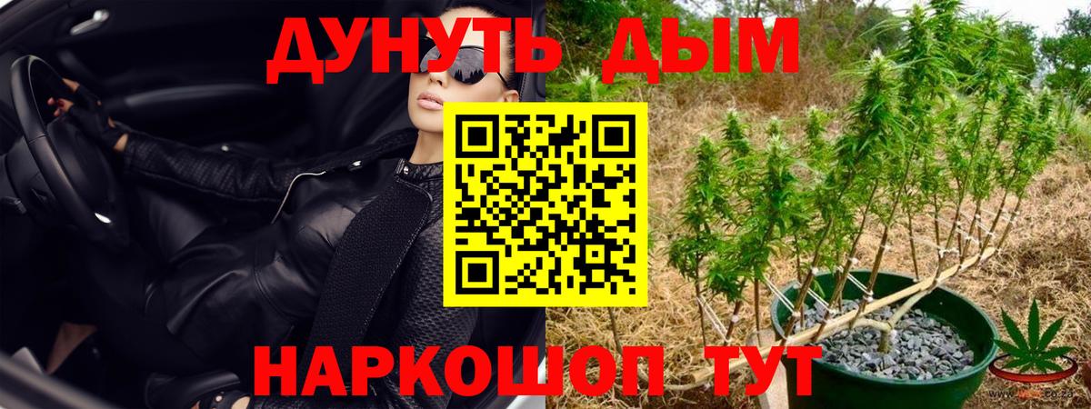 Шишки марихуана OG Kush Сызрань